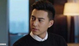 靳东最新爆料电视剧大全,揭秘电视剧背后的精彩故事与幕后花絮