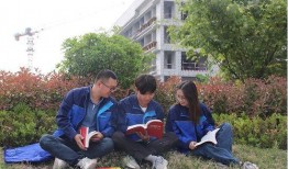 临沂一中爆料事件最新情况,真相逐步浮出水面，校园安全引关注